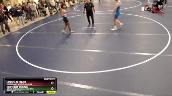 165 lbs Quarterfinal - Romeko Young, Grand Rapids Screaming Yetis Wrestling Club vs Lincoln Marr, Forest Lake Wrestling Club