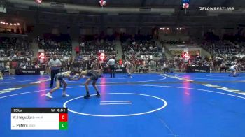 95 lbs Consolation - Walter Hagedorn, Maurer Coughlin WC vs Lucas Peters, Askren Wrestling Academy