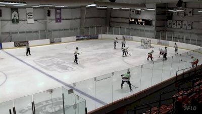 Replay: Home - 2024 Prestige Hockey vs 93 Hockey White | May 12 @ 10 AM
