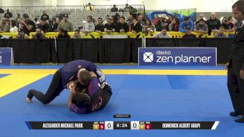 Domenick Albert Arapi vs Alexander Michael Park 2025 World IBJJF Jiu-Jitsu No-Gi Championship
