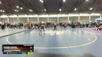 75 lbs Cons. Round 3 - Payden Ledvina, Taylorview Middle School vs Stetson Nicodemus, New Plymouth