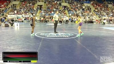 106 lbs Champ. Round 1 - Aubree Bunner, New Town/Parshall vs Scelia Maneze, Bismarck Legacy