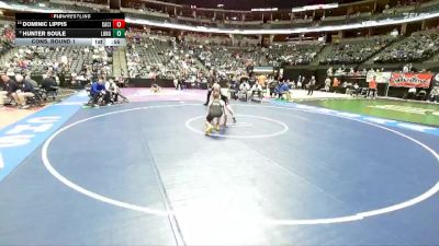 132-4A Cons. Round 1 - Dominic Lippis, Canon City vs Hunter Soule, Longmont