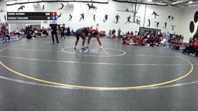 180 lbs Round 6 (16 Team) - Josie Hosea, Carthage University vs Cicely Cullins, Hiram