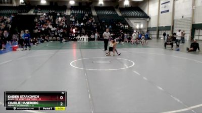 77 lbs Round 2 (8 Team) - Charlie Haneborg, Midwest Destroyers vs Kaiden Starkovich, Black Fox Wrestling Team 2