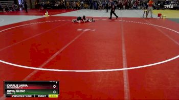 65 lbs Semis & 1st Wrestleback (8 Team) - Charlie Jarva, Grand Rapids vs Owen Glenz, ANML