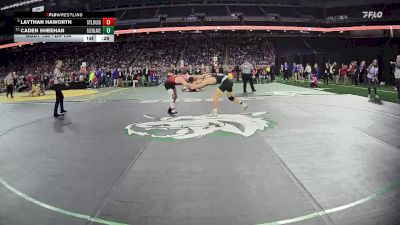 D4-138 lbs Cons. Round 1 - Laythan Haworth, St Louis vs Caden Sheehan, Maple City Glen Lake