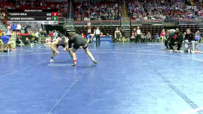 2A-138 lbs Cons. Round 5 - Jayden Bucknell, NH/TV vs Cadyn Wild, Assumption, Davenport