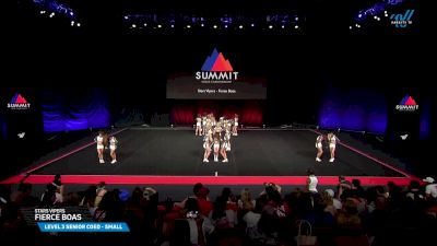 Stars Vipers - San Antonio - Fierce Boas [2025 L3 Senior Coed - Small Semis] 2025 The Summit