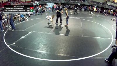 73 lbs Quarterfinal - Mackenzie Williamson, Nebraska Wrestling Academy vs Addilynn Alexander, Double Dog Wrestling