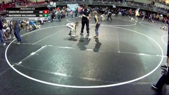 73 lbs Quarterfinal - Mackenzie Williamson, Nebraska Wrestling Academy vs Addilynn Alexander, Double Dog Wrestling