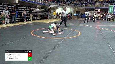 45 lbs Quarterfinal - Maya Bhandari, Upper St. Clair vs Camilla Adams, Hamburg