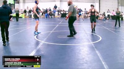 125 lbs Cons. Round 4 - Gavin Calcines, Wrestling University vs Connor Walshe, Wellington Wrestling Club