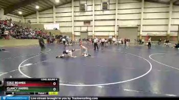 113 lbs Cons. Round 4 - Clancy Harris, Marsh Valley vs Cole Beames, Northridge