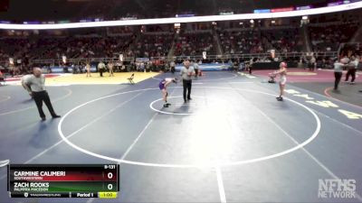 II-131 lbs 3rd Place Match - Carmine Calimeri, Southwestern vs Zach Rooks, Palmyra Macedon