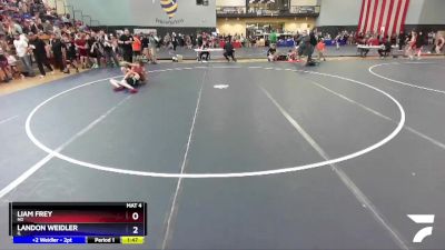 136 lbs Quarterfinal - Liam Frey, ND vs Landon Weidler, IL