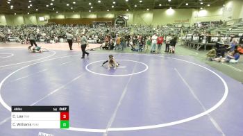 46 lbs Quarterfinal - Carson Lee, Run To Danger vs Carson Williams, Punisher Wrestling