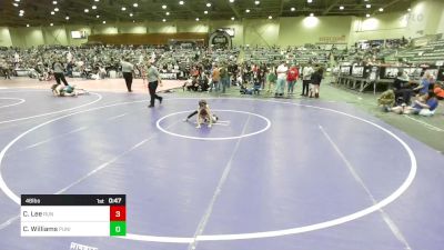 46 lbs Quarterfinal - Carson Lee, Run To Danger vs Carson Williams, Punisher Wrestling