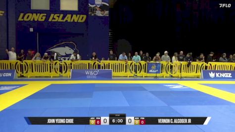 David I. Rubenstein vs Nick Suciu Lll 2025 Pan IBJJF Jiu-Jitsu No-Gi Championship