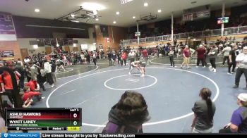 138 lbs Cons. Round 4 - Wyatt Laney, Lewiston High School vs Ashlei Hawkins, Sandpoint