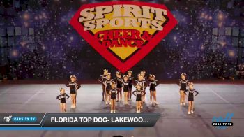 Florida Top Dog- Lakewood Ranch - Mini Gold [2023 L1 Mini - Novice - Restrictions Day 1] 2023 Spirit Sports Kissimmee Nationals