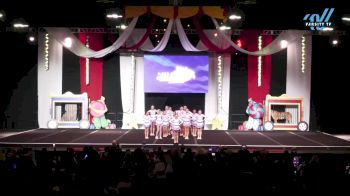 The Stingray Allstars - Sunflower [2024 L1 Youth - Small Day 1] 2024 ASC Battle Under the Big Top Grand Nationals