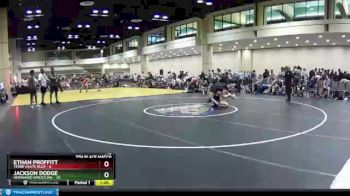 145 lbs Placement (16 Team) - Ethan Proffitt, Terre Haute Blue vs Jackson Dodge, Hernando Wrestling