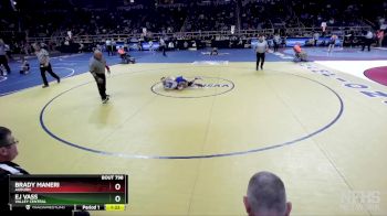 I-101 lbs Semifinal - Brady Maneri, Auburn vs EJ Vass, Valley Central