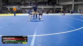 80 lbs Placement (4 Team) - Dominick Mariotti, STMA vs Chase Hoffmann, Pine Island