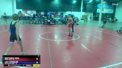 114 lbs Placement Matches (8 Team) - Matthew Vesa, Texas Gold vs Levi Wheeler, Oklahoma Blue