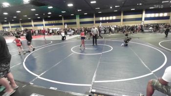 80 lbs Quarterfinal - Analise Pina, Aces WC vs Heavyn Woods, Takedown Elite