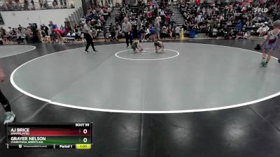 65 lbs Round 1 - Aj Brice, Unaffiliated vs Grayer Nelson, Conestoga Wrestling