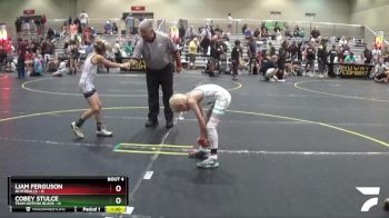 67 lbs Round 2 (6 Team) - Liam Ferguson, Mi Pitbulls vs Cobey Stulce, Team Gotcha Black