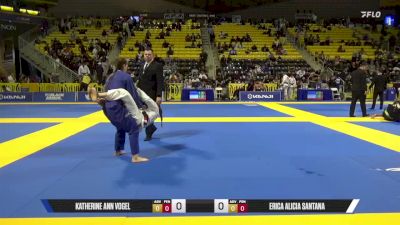 Erica Alicia Santana vs Katherine Ann Vogel 2025 Master International IBJJF Jiu-Jitsu North American Championship
