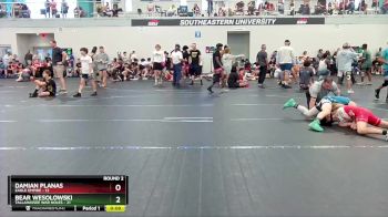 96 lbs Round 2 (4 Team) - Damian Planas, Eagle Empire vs Bear Wesolowski, Tallahassee War Noles