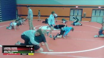 117 lbs Quarterfinal - Brilynn Hobson, Bradley Central vs Jasmine Norris, Ground Zero Wrestling