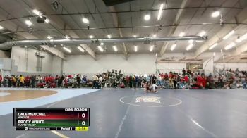 175 lbs Cons. Round 6 - Cale Meuchel, Windsor vs Brody White, Platte Valley