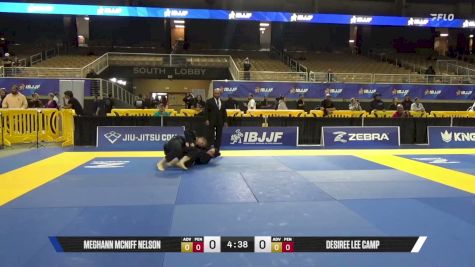 Meghann Mcniff Nelson vs Desiree Lee Camp 2026 Pan Jiu Jitsu IBJJF Championship