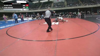 160 lbs Quarterfinal - Blake Loyd, Newark vs Akim Burnim, Burtonsville