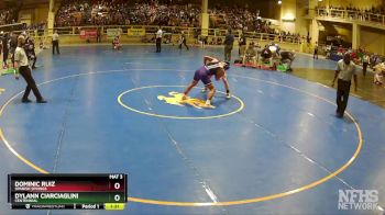 138 lbs Semifinal - Dylann Ciarciaglini, Centennial vs Dominic Ruiz, Spanish Springs