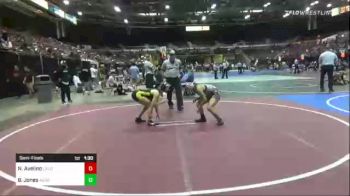 109 lbs Semifinal - Nia Avelino, Caldwell WC vs Brooklyn Jones, Team Aggression