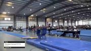 Elizabeth Dayton(VT/FX) - Vault, Browns - 2021 Region 1 Women's Championships