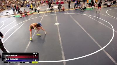 94 lbs Semifinal - Owen Parish, MN vs Cruz Gannon, IA