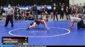 110 lbs Semifinals (4 Team) - Cameron Carpenter, Warrensburg-Bolton Sr HS vs Austin Hall, Canisteo-Greenwood Sr HS