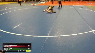 85 lbs Semis (4 Team) - Ethan Brinkman, Little Falls vs Derek Fier, Minneota