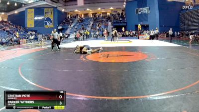 126 lbs Cons. Round 3 - Cristian Pote, Danbury vs Parker Withers, Skyline