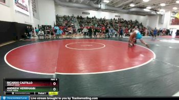 190 lbs Quarterfinal - Ricardo Castillo, Greeley West vs Andrew Herrmann, Fossil Ridge