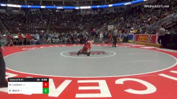 132 lbs Consolation - Matt Leehan, General McLane vs Hayden Ward, Canton