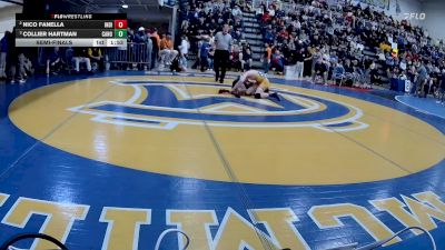 133 lbs Semifinal - Nico Fanella, Indiana vs Collier Hartman, Canon-McMillan