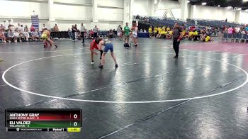 106 lbs Round 3 (10 Team) - Anthony Gray, Eagle Empire Black vs Eli Valdez, Wellington